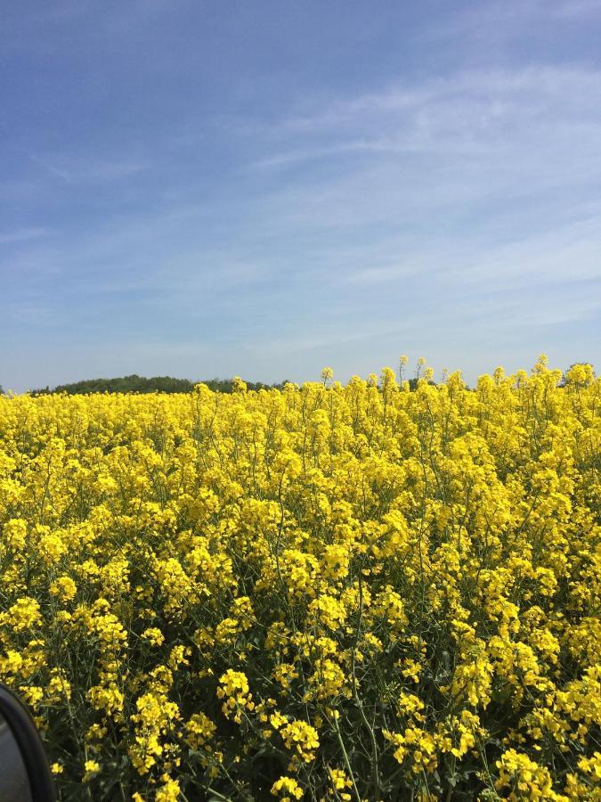 Ostseeperle Grömitz Exteriör bild